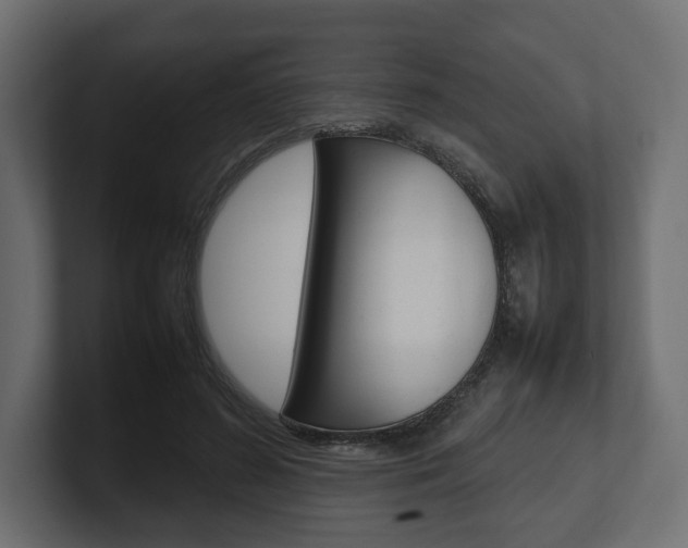 X0000101220596200806270926