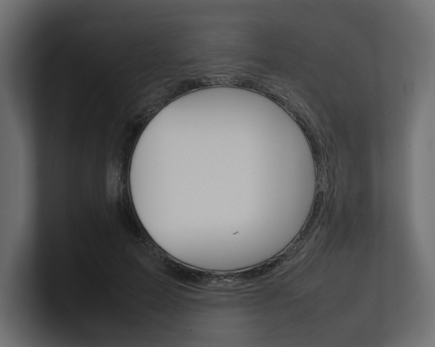 X0000101220599200806270926