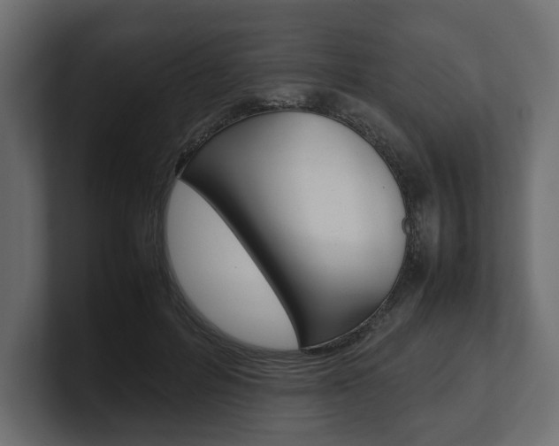 X0000101220600200806270926
