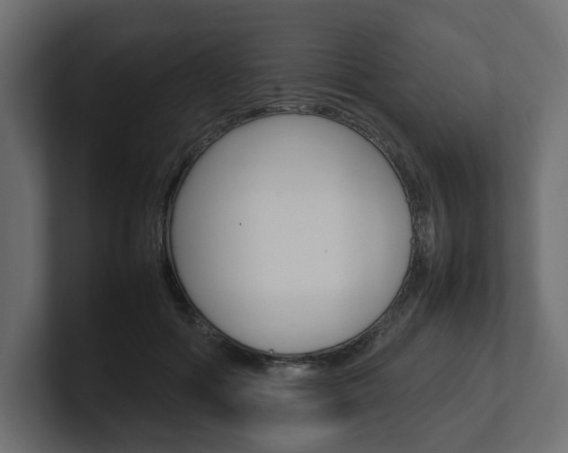 X0000101220602200806270926