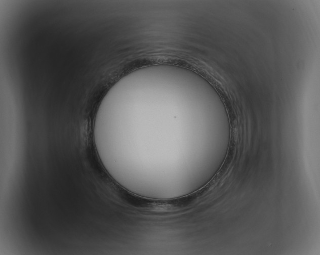 X0000101220605200806270926