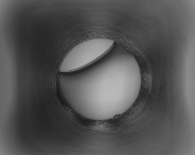 X0000101220612200806270926