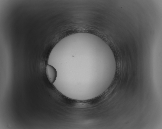 X0000101220614200806270926