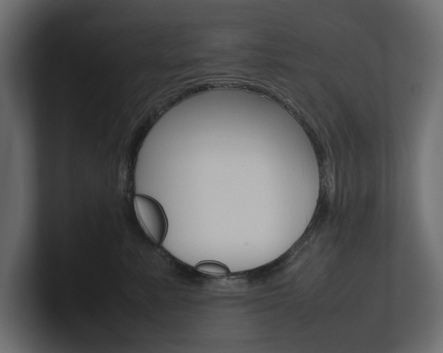 X0000101220619200806270926