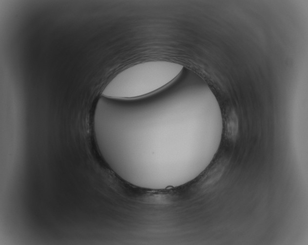 X0000101220620200806270926
