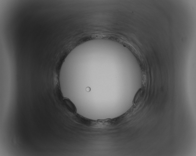 X0000101220621200806270926