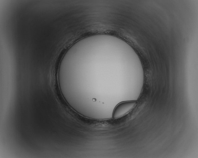 X0000101220642200806270925
