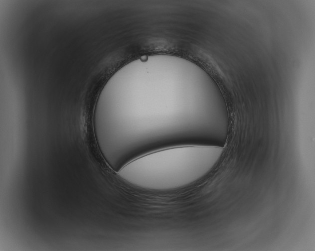 X0000101220643200806270925