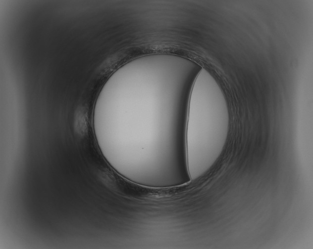 X0000101220644200806270925
