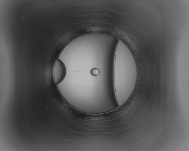 X0000101220645200806270925
