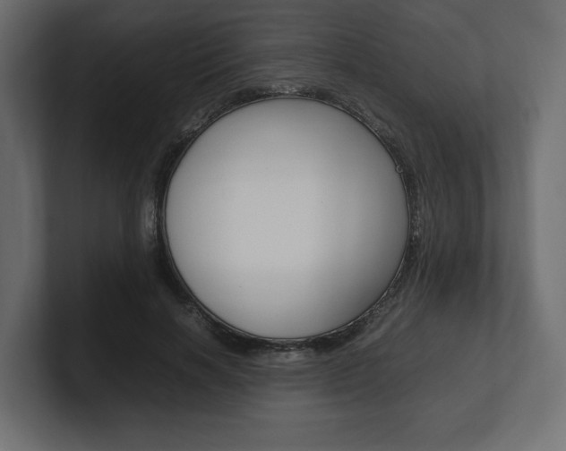 X0000101220646200806270925