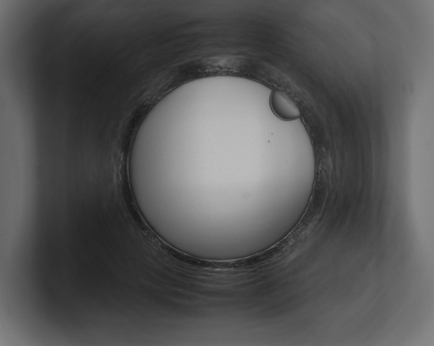 X0000101220649200806270925