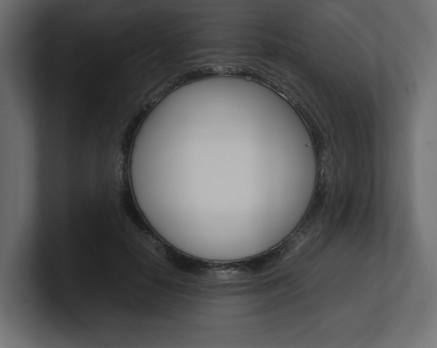 X0000101220650200806270925