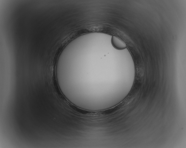 X0000101220652200806270925