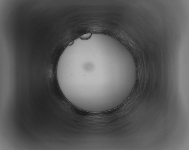 X0000101220655200806270925