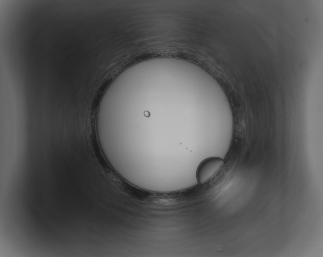 X0000101220658200806270926