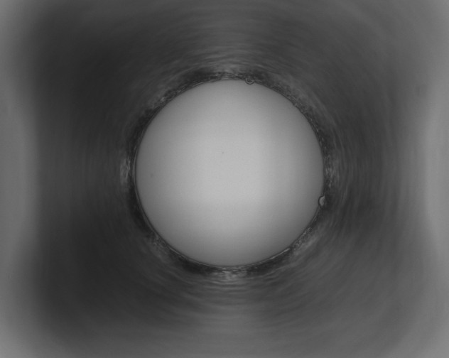 X0000101220660200806270926