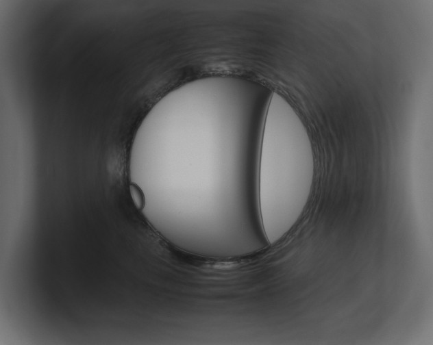 X0000101220665200806270926