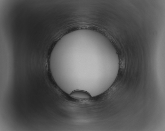 X0000101220666200806270926