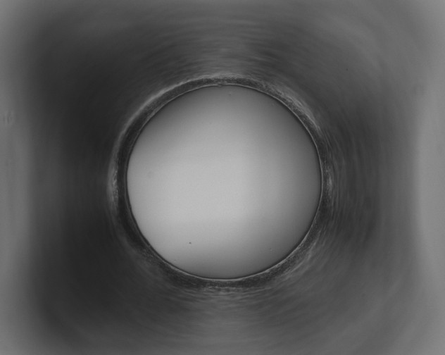 X0000101220676200806270925