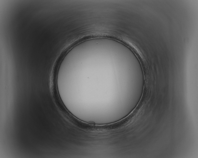 X0000101220677200806270925