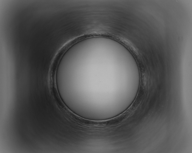 X0000101220680200806270925