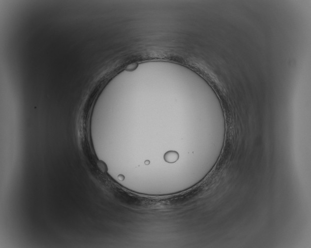 X0000101220683200806270925