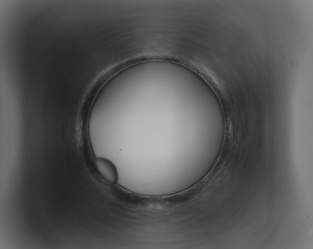 X0000101220684200806270925