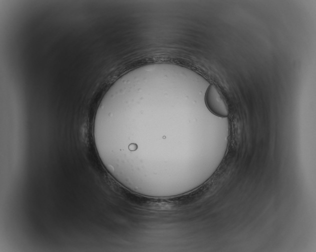 X0000101220698200806270925