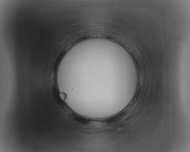 X0000101220699200806270925
