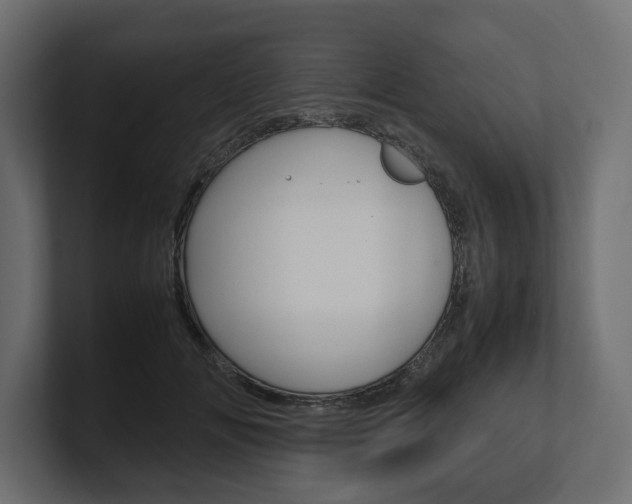 X0000101220702200806270925
