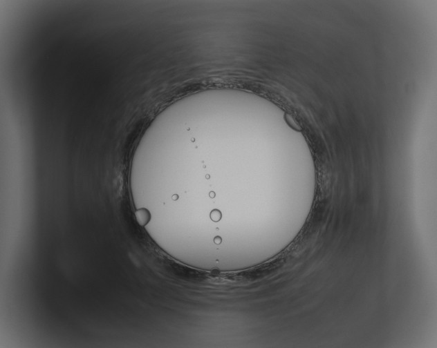 X0000101220703200806270925