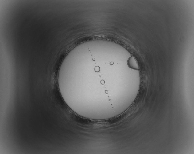 X0000101220707200806270925