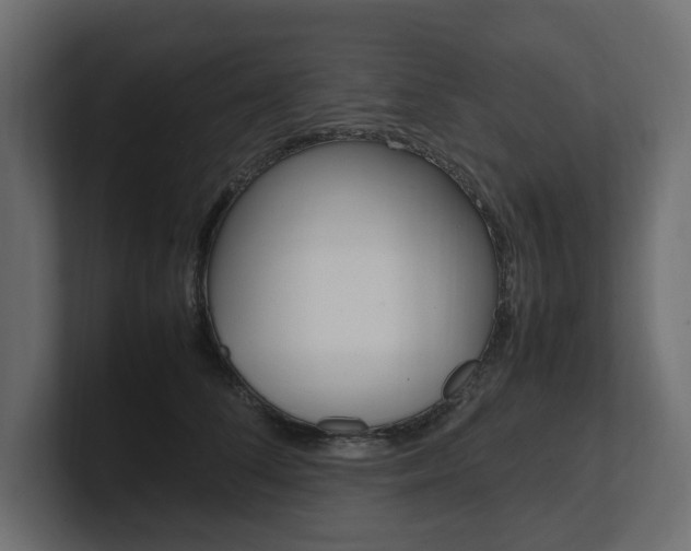 X0000101220708200806270925
