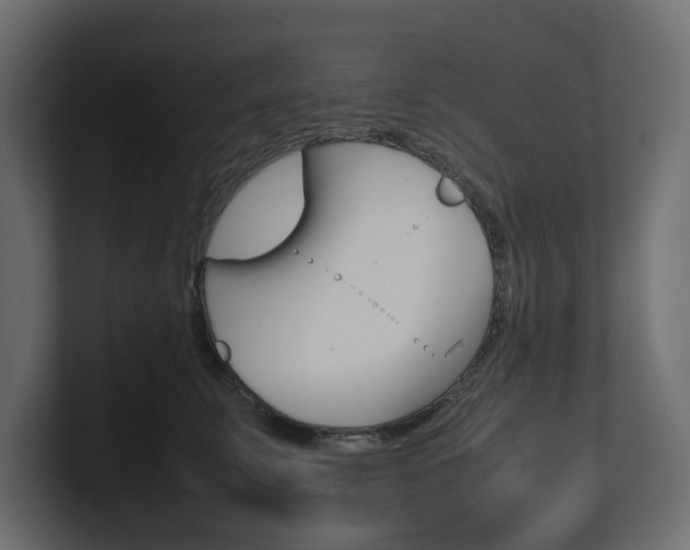 X0000101220711200806270925
