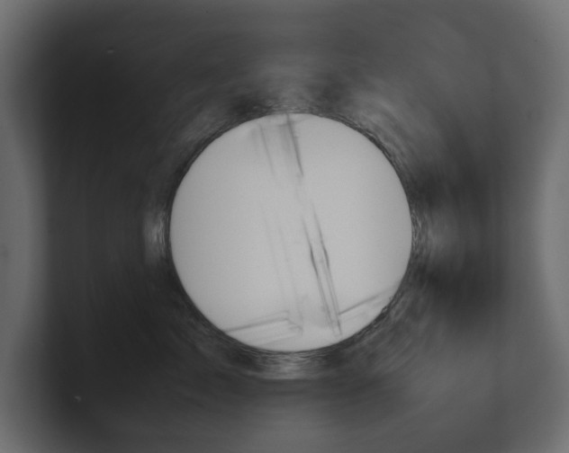 X0000101220717200806270925