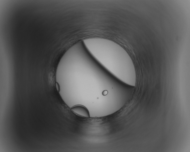 X0000101220719200806270924