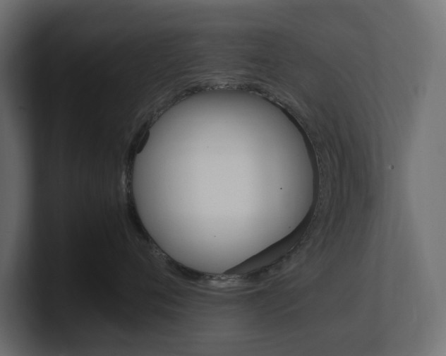 X0000101220720200806270924