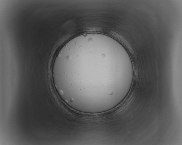 X0000101220721200806270924
