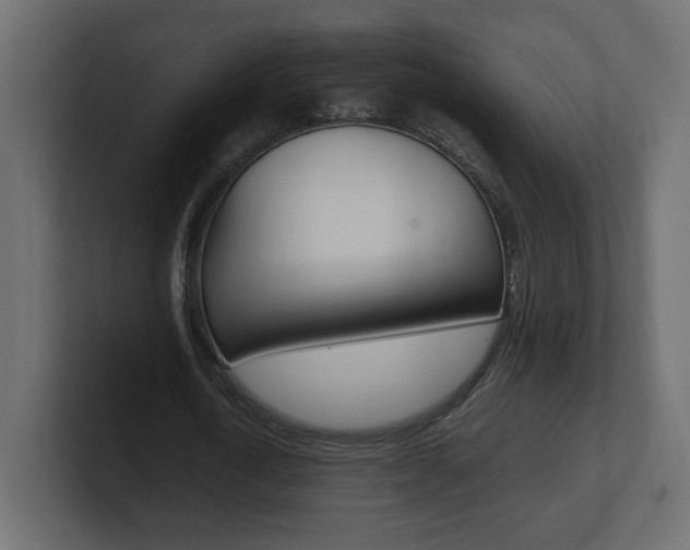 X0000101220722200806270924
