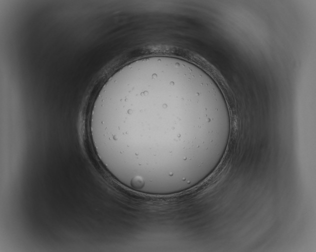 X0000101220725200806270924