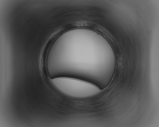 X0000101220727200806270924