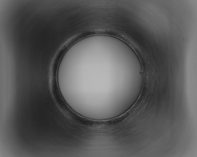 X0000101220728200806270924