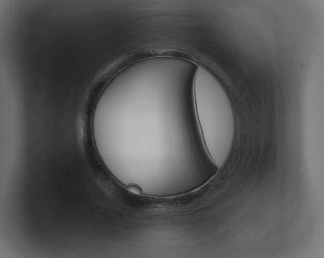 X0000101220732200806270924