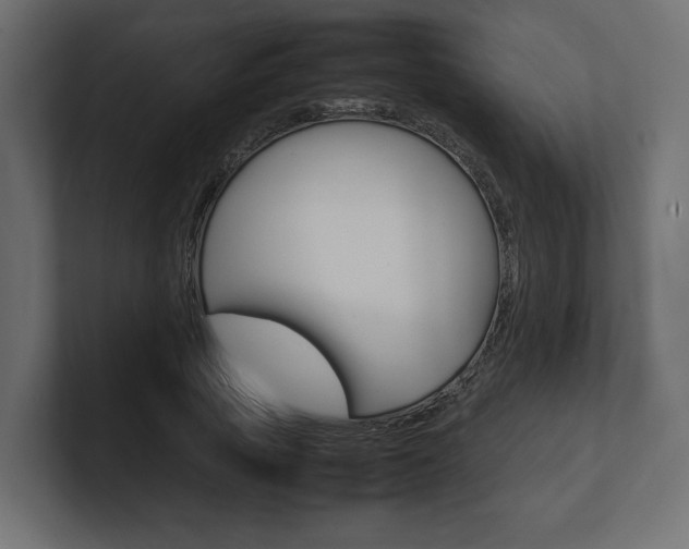 X0000101220737200806270924