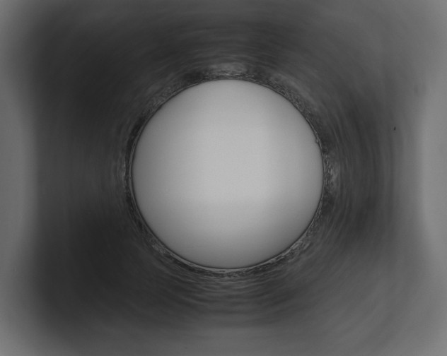 X0000101220745200806270924