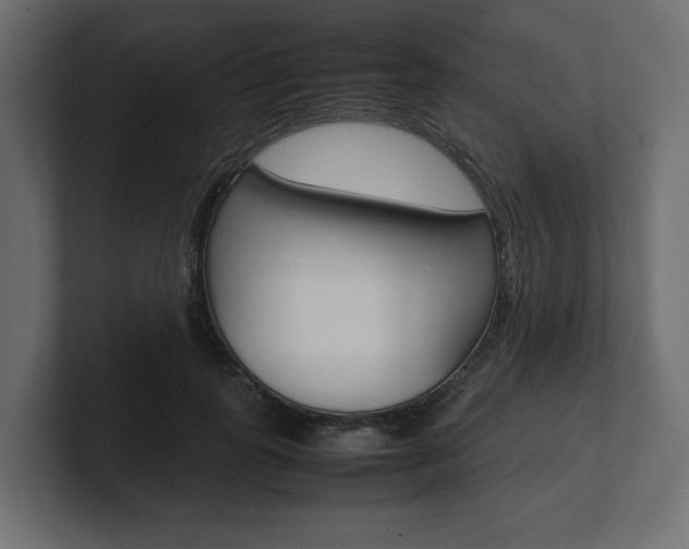 X0000101220747200806270924