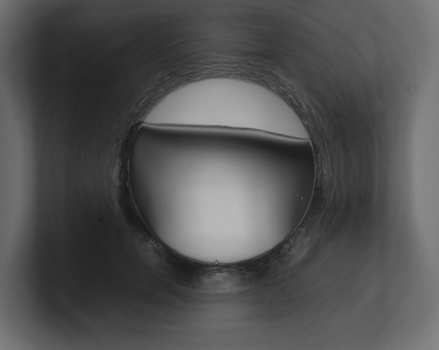 X0000101220750200806270924