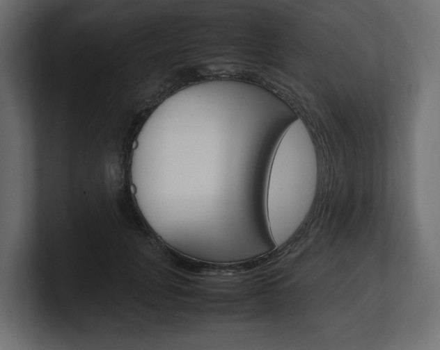 X0000101220751200806270924