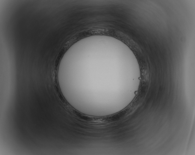 X0000101220753200806270924